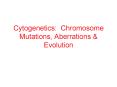 Cytogenetics: Chromosome Mutations, Aberrations & Evolutio