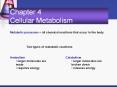 Chapter 4 Cellular Metabolism Metabolic processes   al