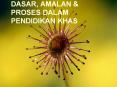 DASAR, AMALAN & PROSES DALAM PENDIDIKAN KHAS Definisi Dasa