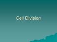 Cell Division Chromosomes Are made of DNA Each chromosom