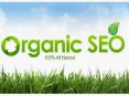 Dedicated Blog Creation Services