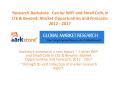 Research Aarkstore   Carrier WiFi and Small Cells in LTE   Beyond Market Opportunities and Forecasts 2012 2017 x.pdf
