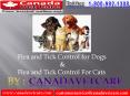 Flea and Tick Control for Dogs and Cats