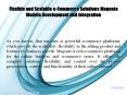 Flexible and Scalable e-Commerce Solutions Magento Module Development and Integration