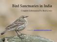 Bird Sanctuaries in India, Birds Found and Other Useful Information