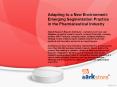 Adapting to a New Environment: Emerging Segmentation Practice in the Pharmaceutical Industry