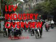 Light Delivery      Particularly food delivery EU Pedele