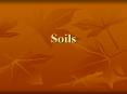 Soils What is soil? Soil is the layer of loose material o