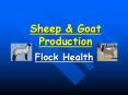 Sheep & Goat Production Flock Health Diseases Cause death