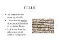 CELLS All organisms are made up of cells The cell is th