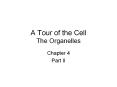 A Tour of the Cell The Organelles Chapter 4 Part I