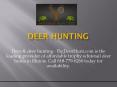 Deer Hunting