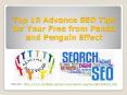 Top 10 Advance SEO Tips for Your Free from Panda and Penguin Effect