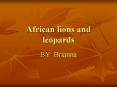 African lions and leopards BY: Brianna Lions in general I