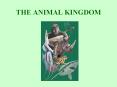 THE ANIMAL KINGDOM The animal kingdom can be divided into 