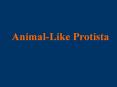 Animal-Like Protista Overview of the  Tree of Life