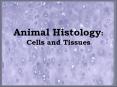 Animal Histology: Cells and Tissues Tissues How do we defin