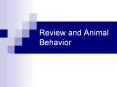 Review and Animal Behavior Animal behavior Examples
