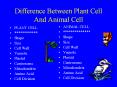 Difference Between Plant Cell And Animal Cell ANIMAL CEL