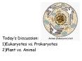 Today s Discussion: 1)Eukaryotes vs. Prokaryotes 2)Plant vs