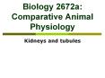 Biology 2672a: Comparative Animal Physiology Kidneys an