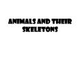 Animals and Their Skeletons What is this animal? What ar