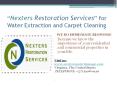Water Removal And Carpet Cleaning Proccess - Nexters Restoration Services