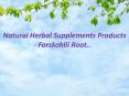 Forskohlii Root  - Dr Oz Recommended Product