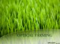 Optical Farming