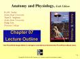 Anatomy and Physiology by Rod R Seeley 6th edition chapter 7 power-point