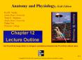 Anatomy and Physiology by Rod R Seeley 6th edition chapter 12 power-point