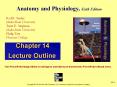 Anatomy and Physiology by Rod R Seeley 6th edition chapter 14 power-point