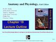 Anatomy and Physiology by Rod R Seeley 6th edition chapter 19 power-point