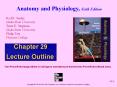 Anatomy and Physiology by Rod R Seeley 6th edition chapter 29 power-point