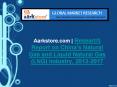 Research Report on China's Natural Gas and Liquid Natural Gas (LNG) Industry, 2013-2017