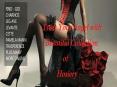 Treat Your Angel with Beautiful Collection of Hosiery