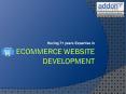 Ecommerce Web Development