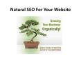 Natural SEO For Your Website