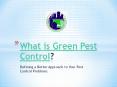 What is Green Pest Control? Defining a Better Approach to Your Pest Control Problems