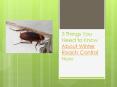 3 Things You Need to Know About Winter Roach Control Now