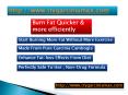 Garcinia Cambogia Max