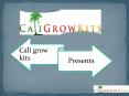 The Best Hydroponic Grow kits and Refills
