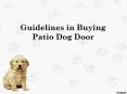 Guidelines in Buying Patio Dog Door