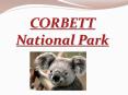 Corbett National Park