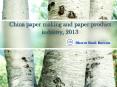 China paper making and paper product industry, 2013