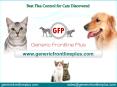 Best Flea Control for Cats Discovered