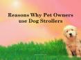 Reasons Why Pet Owners Use Dog Strollers