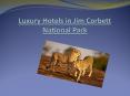 Luxury Hotels in Jim Corbett National Park