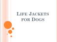 Life Jackets for Dogs