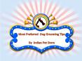 Most Preferred  Dog Grooming Tips